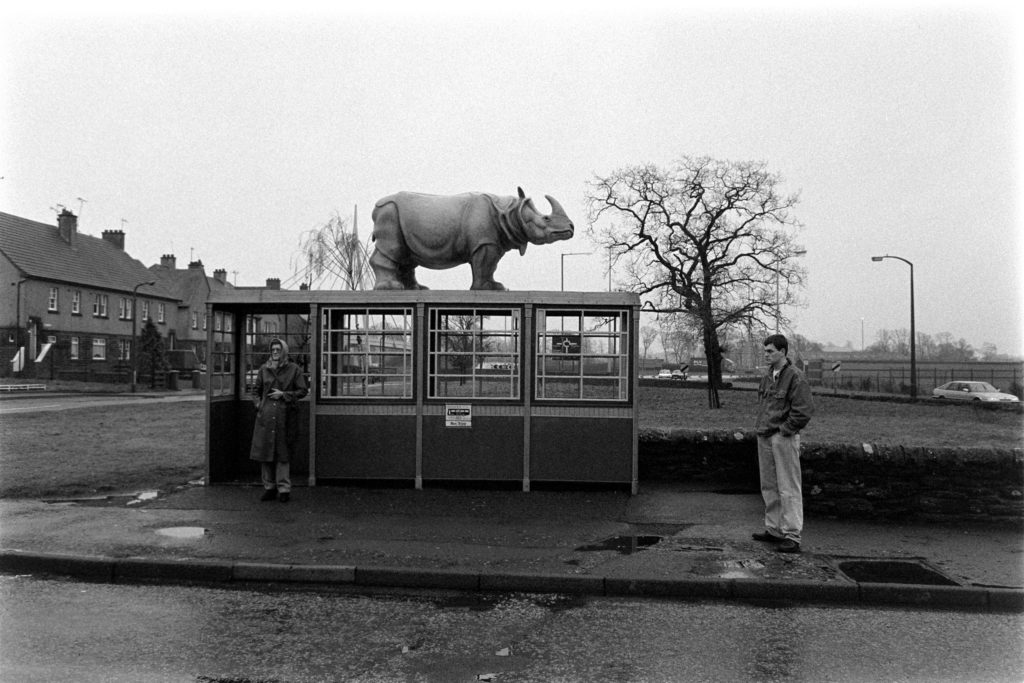 A black and white photo showing a woman in a coat and head wrapped in a scarf waiting inside of a bus shelter. A young man wearing light pants and a dark jacket is waiting outside on the right. A statue of rhinoceros stands on top of the shelter. 