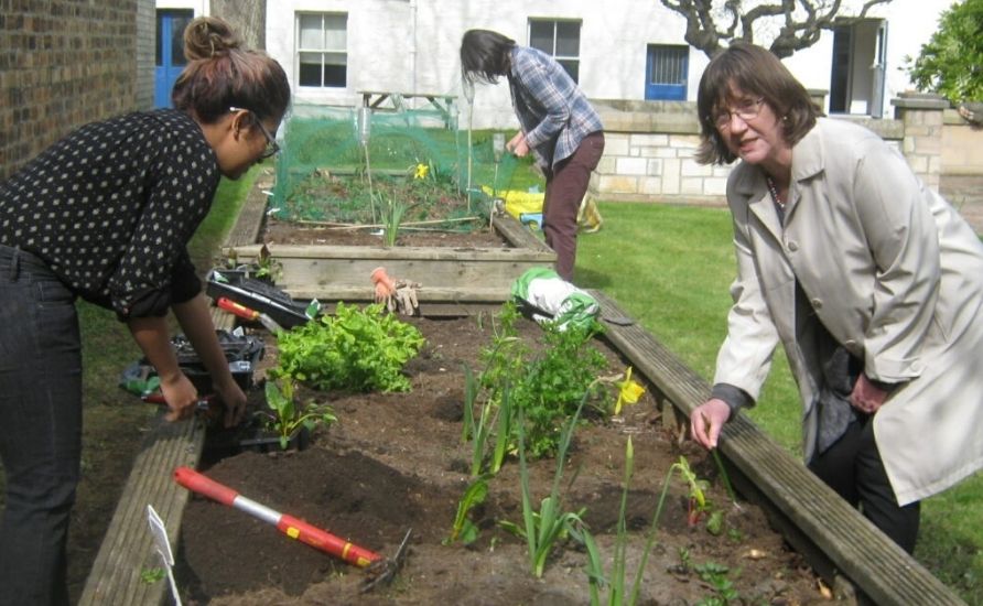 Three people are doing gardening on a raised bed.