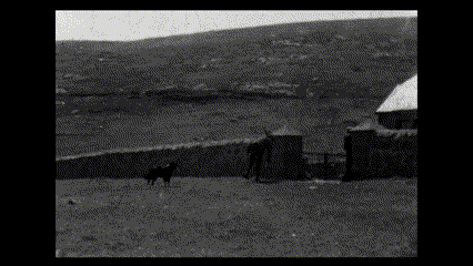 Shepherds and sheep on black and white film.